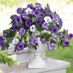 1 Bundle Artificial Flowers for Outdoors Spring Faux Morning Glory Look Real Silk Flowers for Outside Planter UV Resistant Fake Flowers for Home Garden Balcony Yard Porch Deco