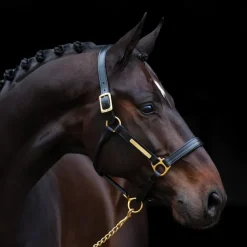 500 Extra Thick High-Elasticity Silicone Horse Tendons - Durable Mane & Tail Hair Bands for Horses, Black and White Horse Hair Tie-Down Accessories, Mane Securing Bands Flexible Horse Bands Highel