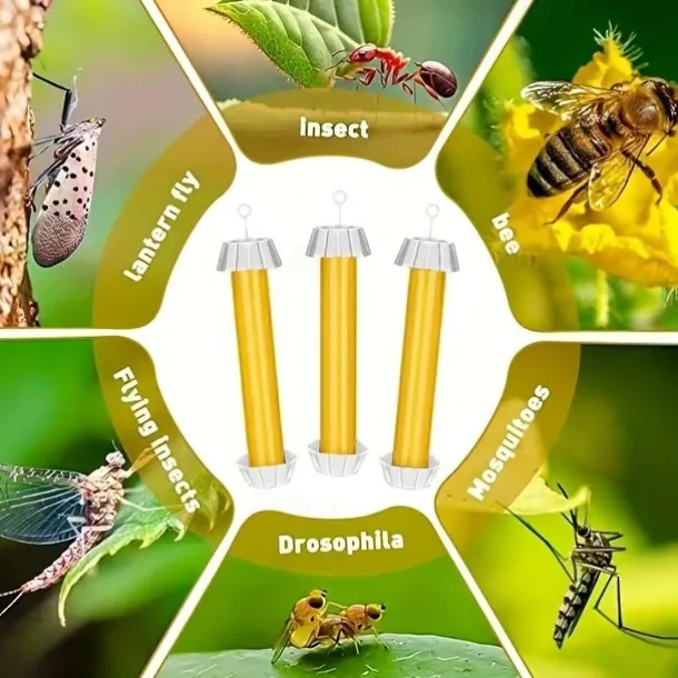 1 Pack Eliminate Unwanted Insects With 1pc Fly Traps Indoor/Outdoor Hanging Sticky Mosquito And Fruit Fly Trap Pest Control