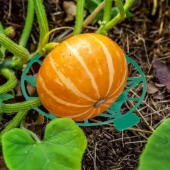 10 Pack Plant Melon Supports Cages Cradles Trellis for Watermelon, Cantaloupe, Pumpkins, Strawberries - Avoid Ground Rot - Reusable (Round Watermelon Support)