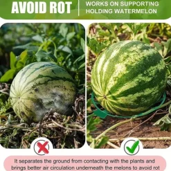 10 Pack Plant Melon Supports Cages Cradles Trellis for Watermelon, Cantaloupe, Pumpkins, Strawberries - Avoid Ground Rot - Reusable (Round Watermelon Support)