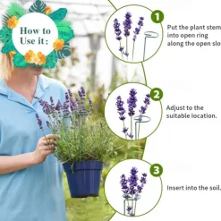 5 Packs of Metal Plant Support Stakes, Plant Stakes for Flowers, Single Stem Plant Support Ring Hoop,Plant Support Cages for Potted Plants Tomato Rose Vine