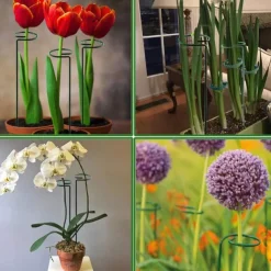 5 Packs of Metal Plant Support Stakes, Plant Stakes for Flowers, Single Stem Plant Support Ring Hoop,Plant Support Cages for Potted Plants Tomato Rose Vine