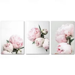 3 Panels Peony/ Pink Flower Wall Art Wall Hanging Gift Home Decoration Rolled Canvas No Frame Unframed Unstretched