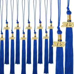 12 Pieces Graduation Tassel with 2025 Charm for Graduation Cap, Charm Graduation Tassel Decorations for Graduation Ceremony Graduation Party Supplies Accessories