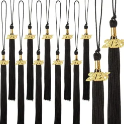 12 Pieces Graduation Tassel with 2025 Charm for Graduation Cap, Charm Graduation Tassel Decorations for Graduation Ceremony Graduation Party Supplies Accessories
