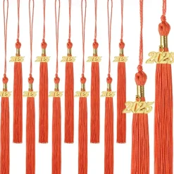 12 Pieces Graduation Tassel with 2025 Charm for Graduation Cap, Charm Graduation Tassel Decorations for Graduation Ceremony Graduation Party Supplies Accessories