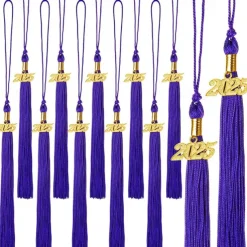 12 Pieces Graduation Tassel with 2025 Charm for Graduation Cap, Charm Graduation Tassel Decorations for Graduation Ceremony Graduation Party Supplies Accessories