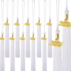 12 Pieces Graduation Tassel with 2025 Charm for Graduation Cap, Charm Graduation Tassel Decorations for Graduation Ceremony Graduation Party Supplies Accessories