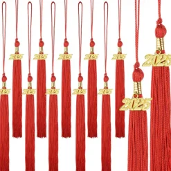 12 Pieces Graduation Tassel with 2025 Charm for Graduation Cap, Charm Graduation Tassel Decorations for Graduation Ceremony Graduation Party Supplies Accessories