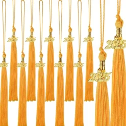 12 Pieces Graduation Tassel with 2025 Charm for Graduation Cap, Charm Graduation Tassel Decorations for Graduation Ceremony Graduation Party Supplies Accessories