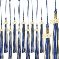 12 Pieces Graduation Tassel with 2025 Charm for Graduation Cap, Charm Graduation Tassel Decorations for Graduation Ceremony Graduation Party Supplies Accessories