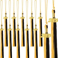 12 Pieces Graduation Tassel with 2025 Charm for Graduation Cap, Charm Graduation Tassel Decorations for Graduation Ceremony Graduation Party Supplies Accessories