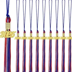12 Pieces Graduation Tassel with 2025 Charm for Graduation Cap, Charm Graduation Tassel Decorations for Graduation Ceremony Graduation Party Supplies Accessories