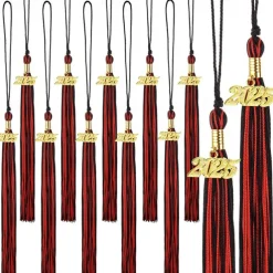 12 Pieces Graduation Tassel with 2025 Charm for Graduation Cap, Charm Graduation Tassel Decorations for Graduation Ceremony Graduation Party Supplies Accessories