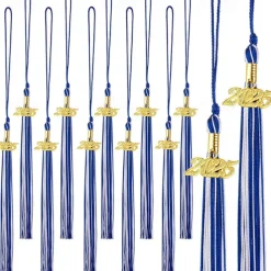 12 Pieces Graduation Tassel with 2025 Charm for Graduation Cap, Charm Graduation Tassel Decorations for Graduation Ceremony Graduation Party Supplies Accessories