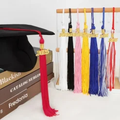 12 Pieces Graduation Tassel with 2025 Charm for Graduation Cap, Charm Graduation Tassel Decorations for Graduation Ceremony Graduation Party Supplies Accessories