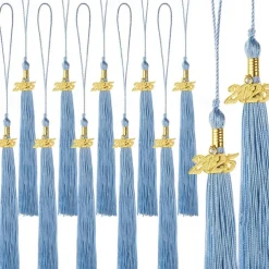 12 Pieces Graduation Tassel with 2025 Charm for Graduation Cap, Charm Graduation Tassel Decorations for Graduation Ceremony Graduation Party Supplies Accessories