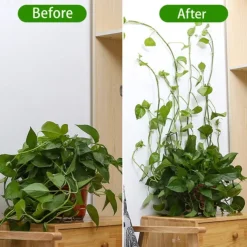 20 Pieces Invisible Wall Rattan Clamp Plant Climbing Wall Self-Adhesive Fixator Vine Buckle Hook Rattan Fixed Clip Bracket Plant Stent Support