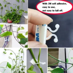 20 Pieces Invisible Wall Rattan Clamp Plant Climbing Wall Self-Adhesive Fixator Vine Buckle Hook Rattan Fixed Clip Bracket Plant Stent Support
