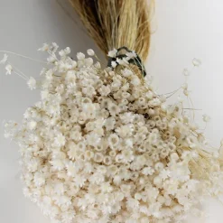 50 Stems Star Flower Blossom in White, Dried Flowers, Wedding Decor, Home Decor, Dried Flowers, Floral Arrangements, Wedding Flowers