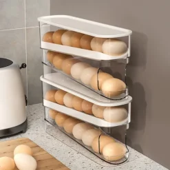 2 Tier Egg Holder for Refrigerator, Auto Rolling Egg Storage Rack, Fridge Storage Organizer for Kitchen, Side Door Egg Box for Refrigerator Kitchen,Household
