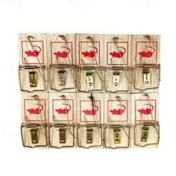 A Special Wooden Device for Catching Mice Tailored for Household Use