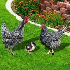 Acrylic 3d Simulation Cock Courtyard Ground Plug Yard Art Garden Outdoor Decor