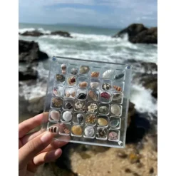 Acrylic Magnetic Seashell Display Box Premium Quality Stunning Showcase to Present and Protect Your Cherished Seashell Collection, Perfect for Home Decor or Gift Giving(Seashell Not Included)