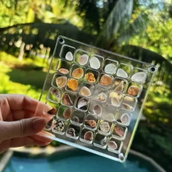 Acrylic Magnetic Seashell Display Box Premium Quality Stunning Showcase to Present and Protect Your Cherished Seashell Collection, Perfect for Home Decor or Gift Giving(Seashell Not Included)