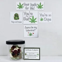 Adopt a Weed Nugget Plushie, Little Weed Nugget Plushie with Encouragement Cards, in a Jar Handmade Plush Stuffed Toys, Best Buds for Life Desktop Ornaments Gift