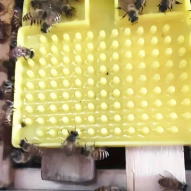 Anti-Drowning Bee Watering 1PCS Plastic Bee Watering Bottles, Bee Feeder, Compatible With 30mm Mineral Water Bottle, Anti-Drowning, Wide Bee Feeding Area