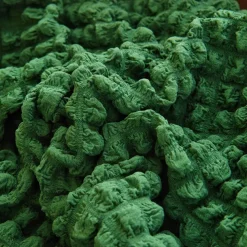 Armchair Cover Tub Chair Slipcover T-shaped Jacquard for Living Room Bedroom Office Elastic Single Sofa Covers Home Bar Counter