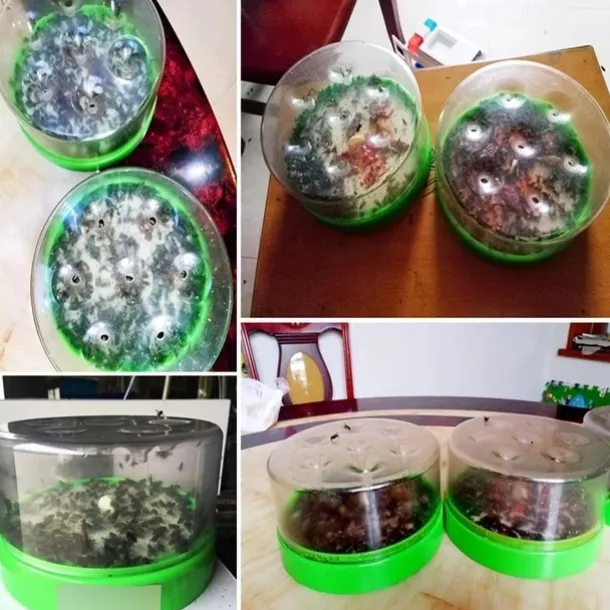 Automatic Fly Trap Fly Killer Home Garden Restaurant Fly Trap To Catch Canteen Fly Machine Indoor INSECT TRAP