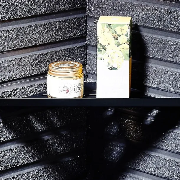 Bathroom Shelf Multifunction Modern Stainless Steel 1pc - Bathroom / Hotel bath Single Wall Mounted