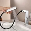 Bathroom Sink Faucet - Pull out / Classic / Pullout Spray Chrome / Nickel Brushed / Electroplated Centerset Single Handle One HoleBath Taps