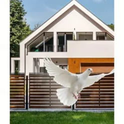 Bird and Pest Repellent Nails Durable ABS Plastic for Birds Squirrels Cats Raccoons and Crows - ideal for Outdoor Fencing and Roof Protection