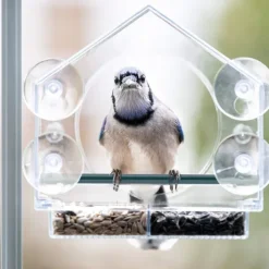 Bird Feeder for Outside - Clear Window Bird Feeders with Strong Suction Cups - Transparent Bird Feeder Window MoAunt Acrylic Bird House for Cat Window Perch