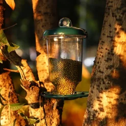 Bird Feeder For The Window Bird House With Strong Suction Cup For Hanging Guaranteed Dry Food 500ml Filling Volume