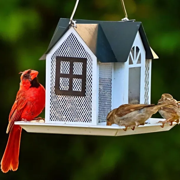 Bird Feeder House for Outside, Metal Mesh Wild Bird Feeder with Triple Feeders for Finch Cardinal Chickadee, Large Capacity, Weatherproof and Durable