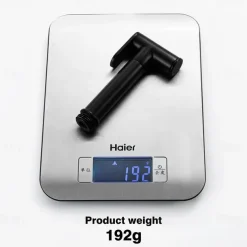 Brass Single Hole Bidet Painted Finishes Black Toilet Handheld Bidet Sprayer Self-Cleaning Contemporary Clean Spray Gun