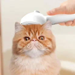 Brush for Dogs, 3 in 1 Water Dog Brush with Water Tank and Release Button, Steam Dog Brush for Shedding Matted Hair, Misty Water Brush for Dogs Cats, Misty Spray Cat Brush