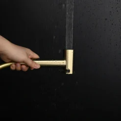 Brushed Grey Bidet Sprayer Concealed Button Brass Valve with Commodity Shelf Paper Holder Plastic Sprayer PVC Hose