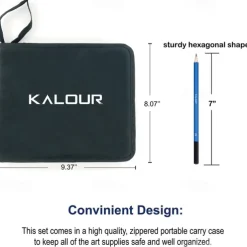 Bview Art 32 Pack Drawing Pencils Set, Professional Drawing Art Kit With Sketch Pencils, Graphite Charcoal Sticks In Portable Case, Drawing Supplies For Kids Adults Artists