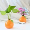 Ceramic Mini Vase, Creative Hydroponic Planter for Green Plants, Lucky Pennywort & Fresh Flowers, Tabletop Decoration for Living Room