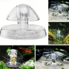 Clear Snail Trap for Aquariums, Fish Tank Snail Catcher, Pest Remover for Aquatic Plants, Fun Snail Control, Bait Not Included