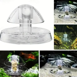 Clear Snail Trap for Aquariums, Fish Tank Snail Catcher, Pest Remover for Aquatic Plants, Fun Snail Control, Bait Not Included