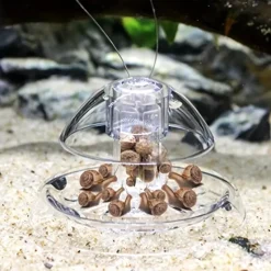 Clear Snail Trap for Aquariums, Fish Tank Snail Catcher, Pest Remover for Aquatic Plants, Fun Snail Control, Bait Not Included