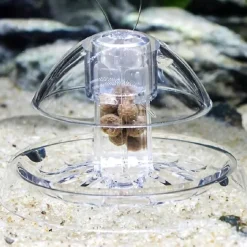 Clear Snail Trap for Aquariums, Fish Tank Snail Catcher, Pest Remover for Aquatic Plants, Fun Snail Control, Bait Not Included
