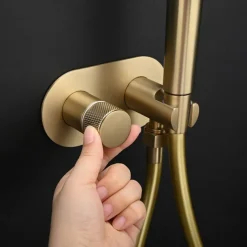 Concealed Bidet Sprayer 2Functions Water Flow Brass Valve Button Adjustable Cold/ Hot Mixer PVC HoseBrushed Gold Grey White